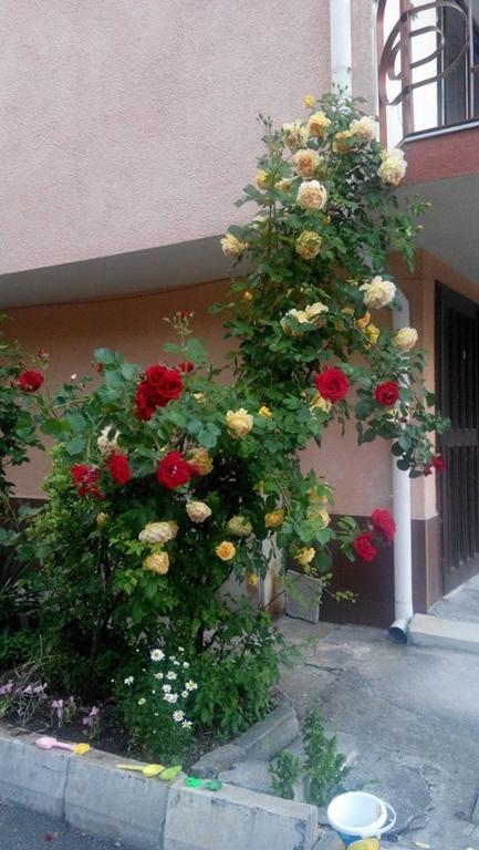 Lazur Hotel Ravda Luaran gambar